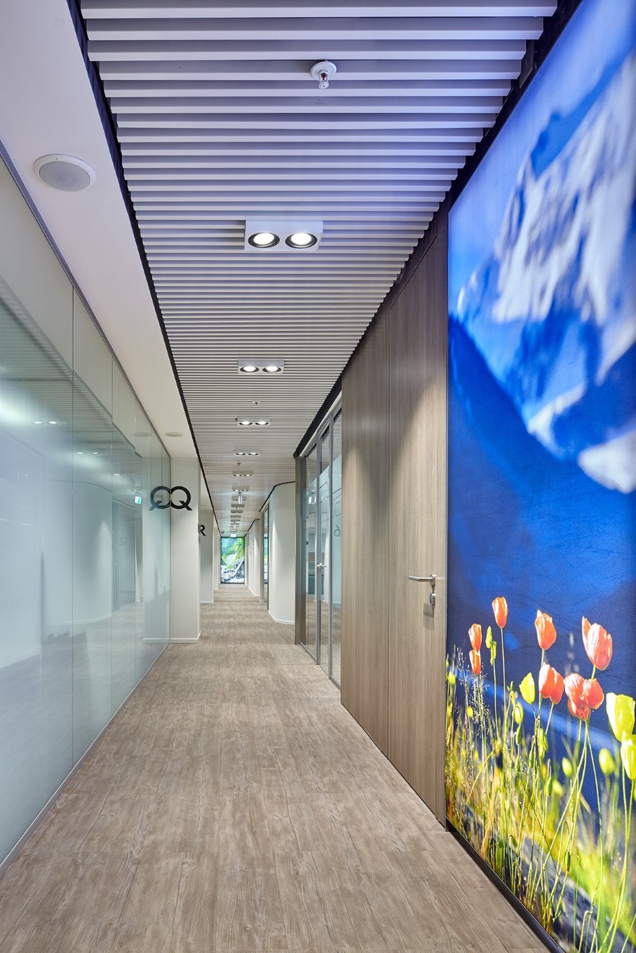 RaiffeisenBank